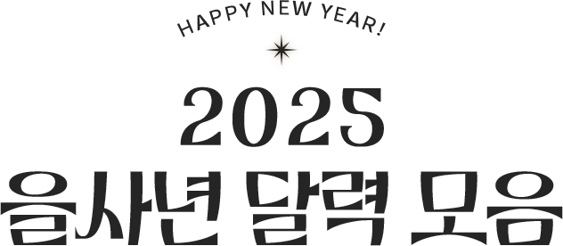 2025  ޷¸