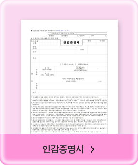 �ΰ�������