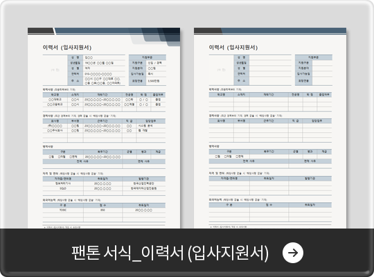 ���� ����_�̷¼� (�Ի�������)